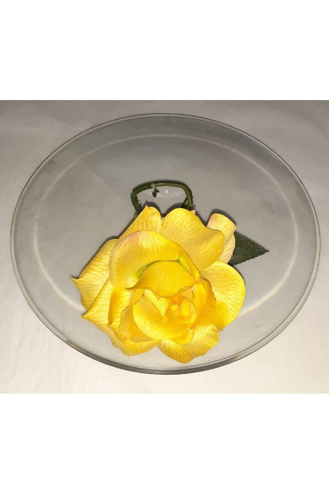 Glass Disk Vase