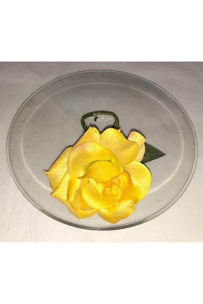 Glass Disk Vase
