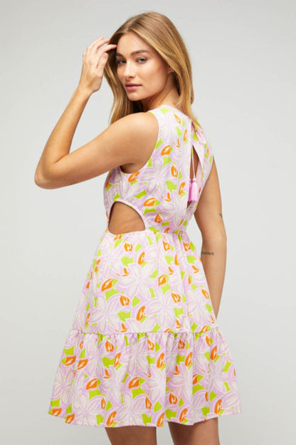 Vacay Vixen dress
