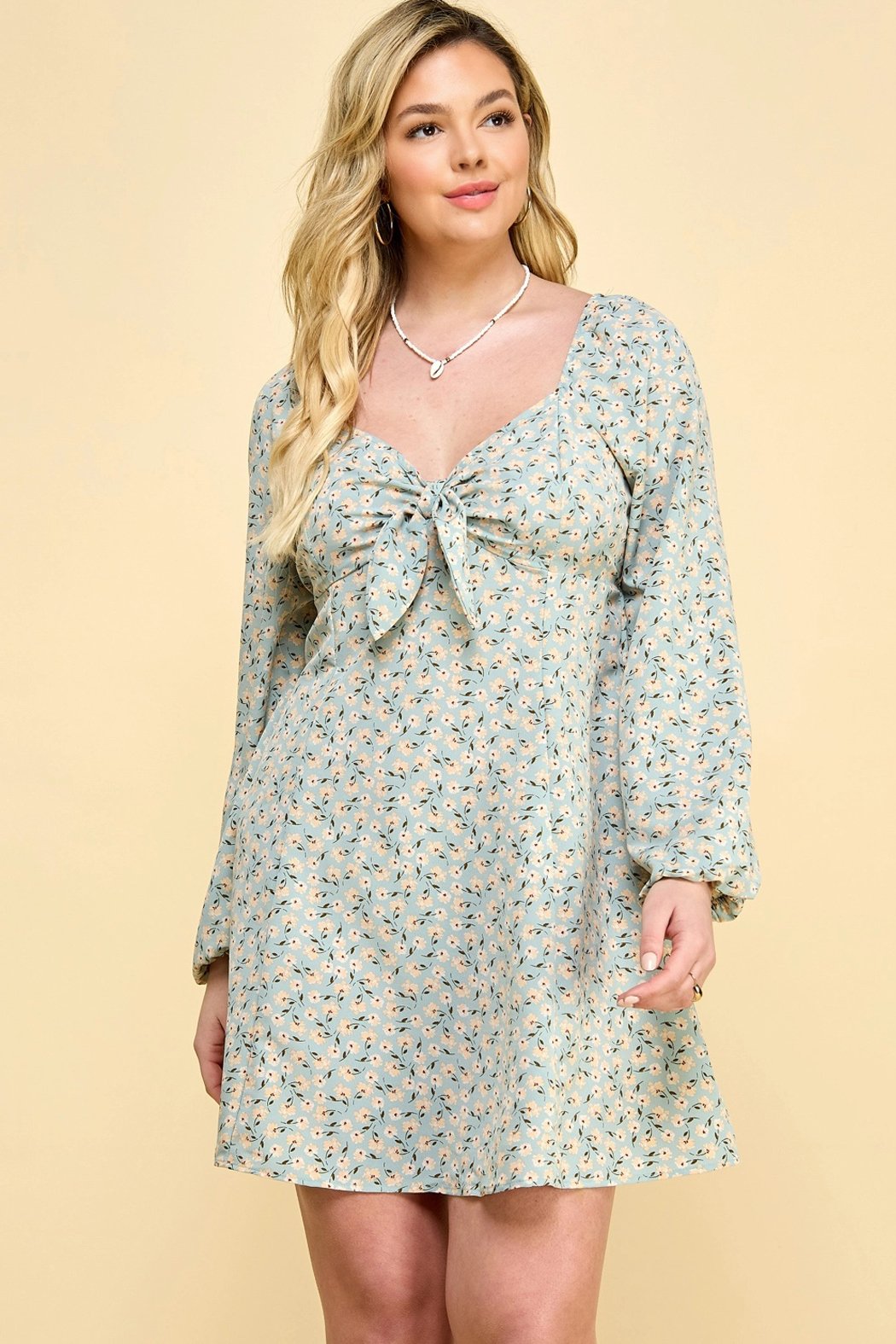 Winny Long Sleeve Mini Dress